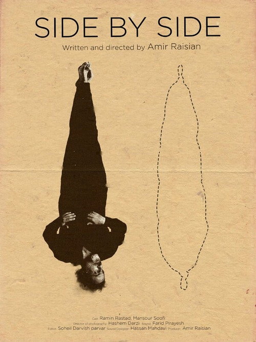 Movie poster for Side by Side