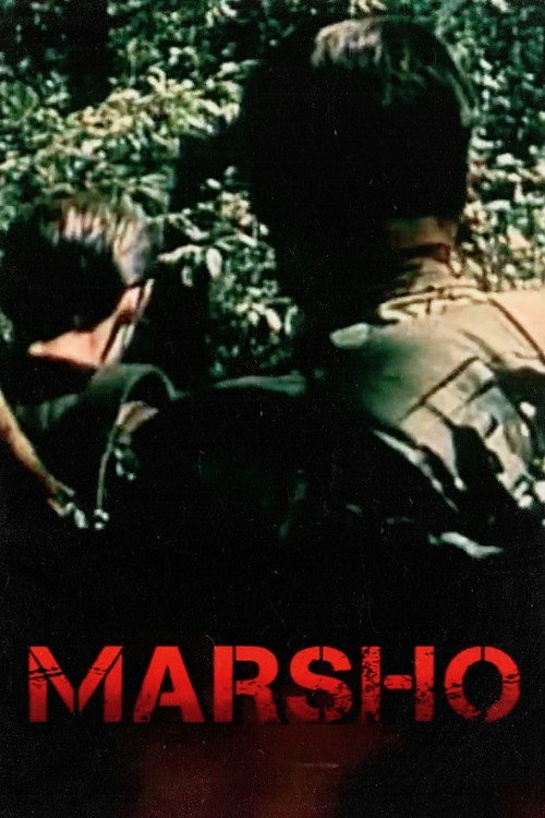 Movie poster for Freedom (2003)
