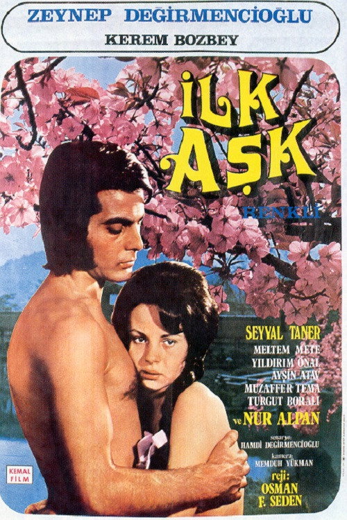 Movie poster for İlk Aşk (1972)