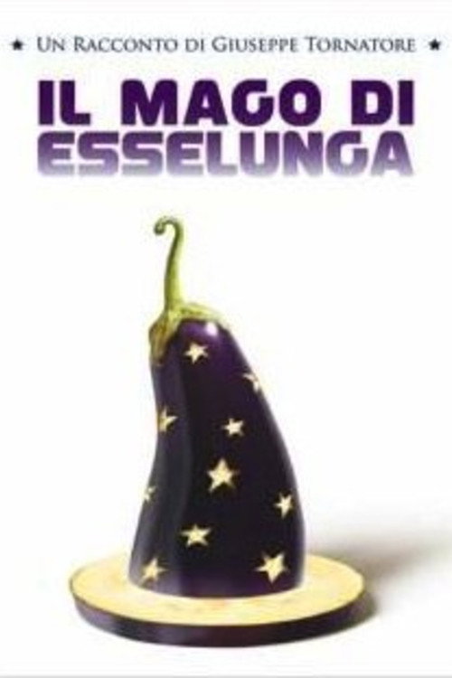 Movie poster for Il Mago di Esselunga (2011)