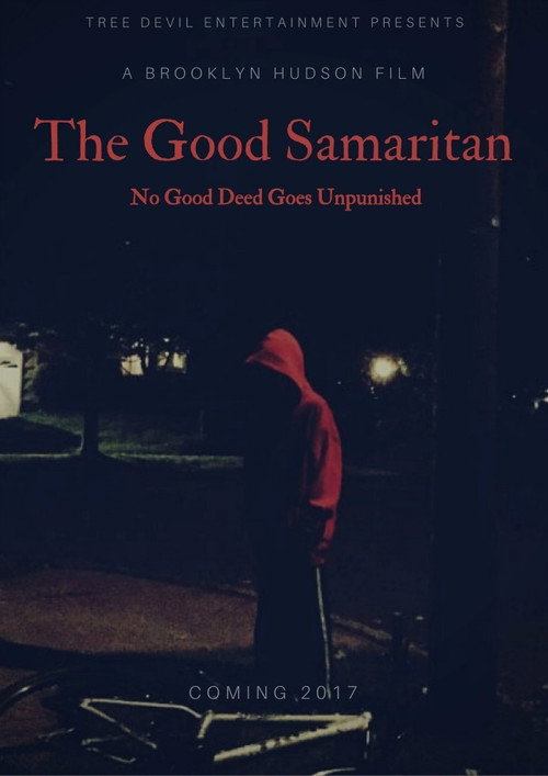 Movie poster for The Good Samaritan (2017)