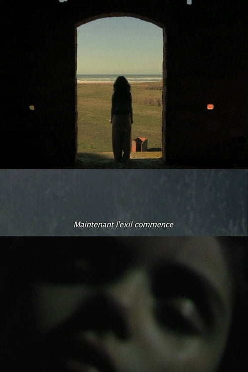 Movie poster for La fièvre (2015)