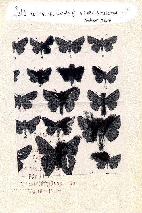 Movie poster for Métamorphoses du Papillon (2014)