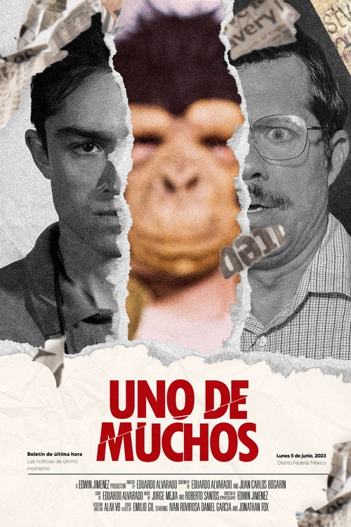 Movie poster for Uno De Muchos (2025)