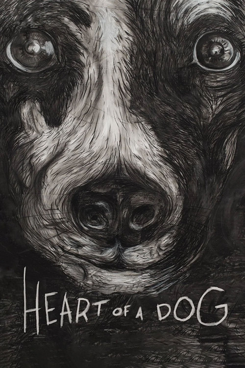Movie poster for Heart of a Dog (2015)