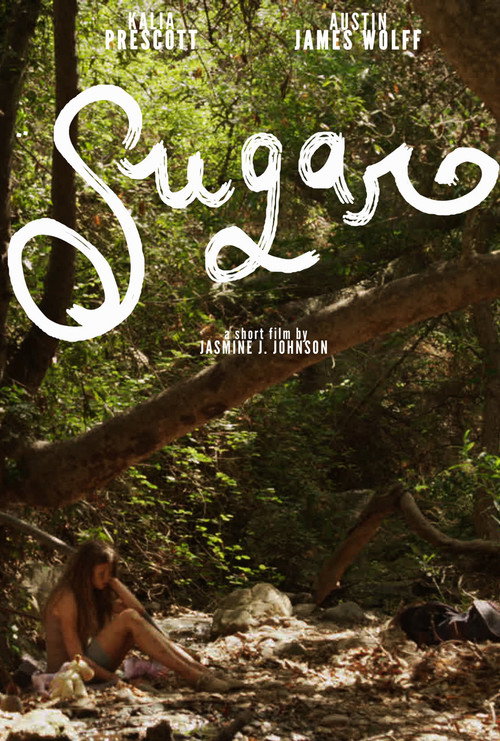 Movie poster for Sugar (2013)