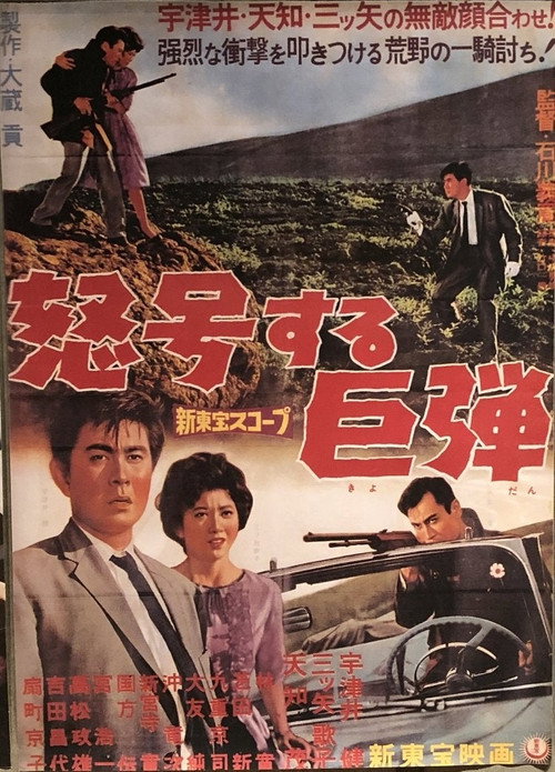Movie poster for Roar of the Bullets (1960)