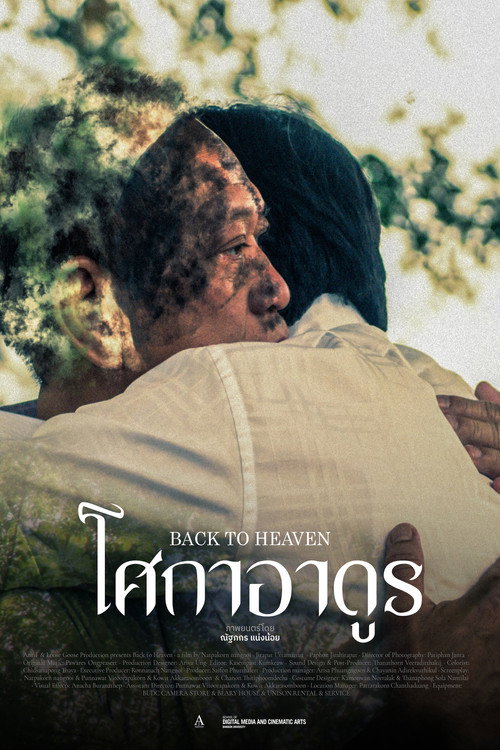 Movie poster for Back to Heaven (2023)