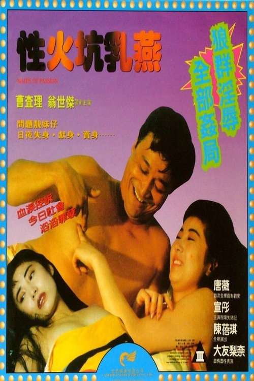 Movie poster for Maids of Passion (1995)