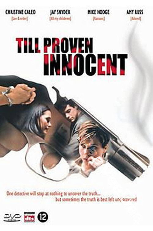 Movie poster for Till Proven Innocent (2004)