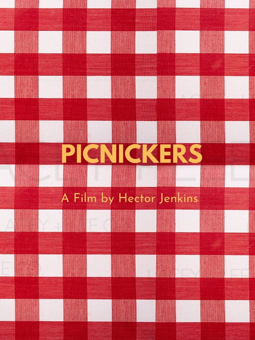 Movie poster for Picnickers