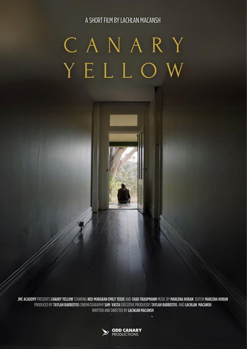 Movie poster for Canary Yellow (2024)