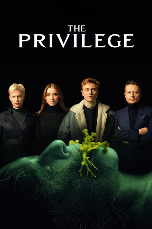 Movie poster for The Privilege (2022)