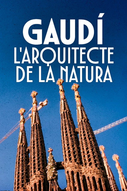 Movie poster for Gaudí, l'arquitecte de la natura (2002)