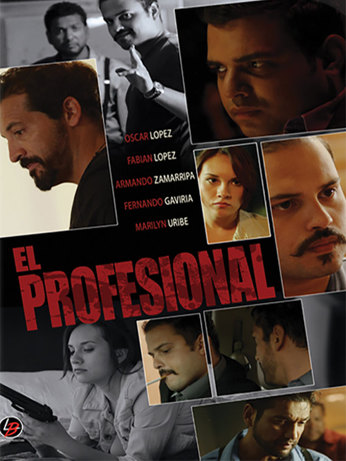 Movie poster for The Professional (2014)