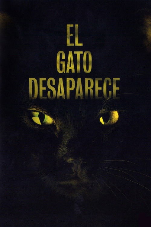 Movie poster for The Cat Vanishes (2011)