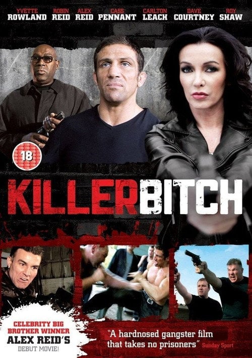 Movie poster for Killer Bitch (2010)