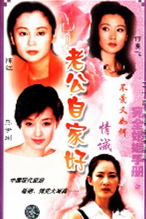 完全婚姻手册 poster