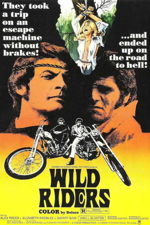 Movie poster for Wild Riders (1971)