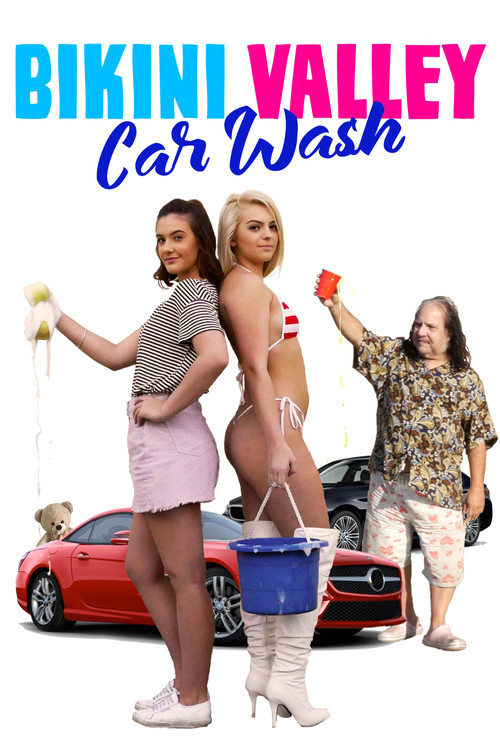 Movie poster for Bikini Valley Car Wash (2020)