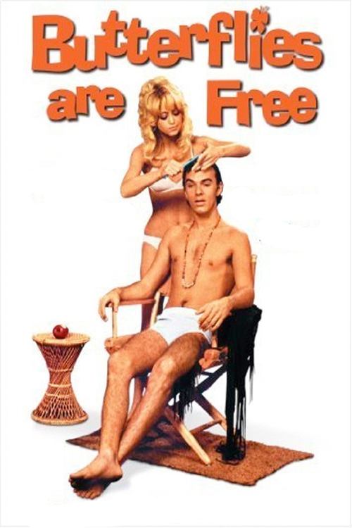 Movie poster for Butterflies Are Free (1972)