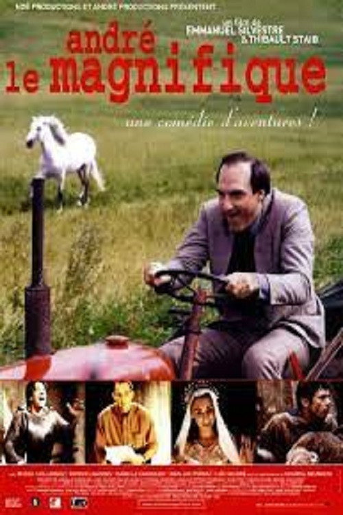 Movie poster for André le magnifique (2000)