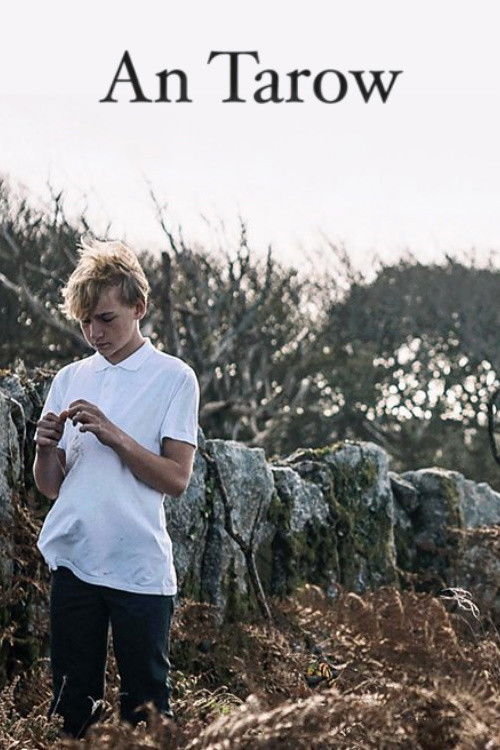 Movie poster for The Bull (2023)