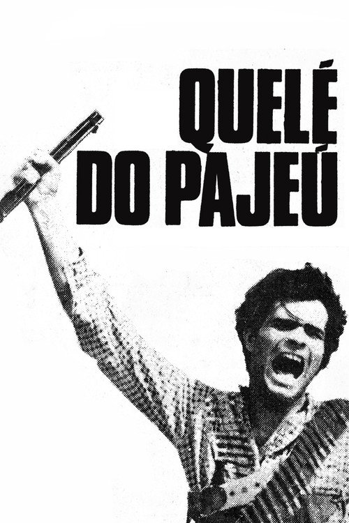 Movie poster for Quelé do Pajeú (1969)