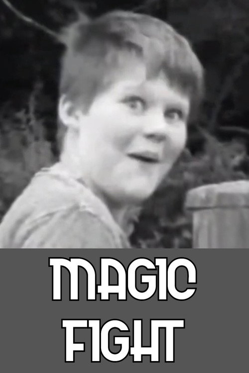 Movie poster for Magic Fight (2017)
