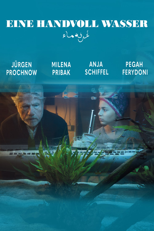 Movie poster for A Handful of Water (2020)