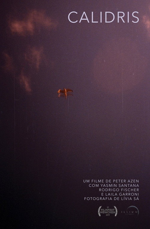 Movie poster for Calidris (2019)