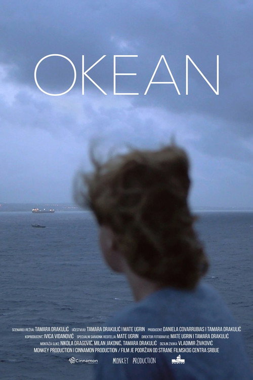 Movie poster for Ocean (2014)