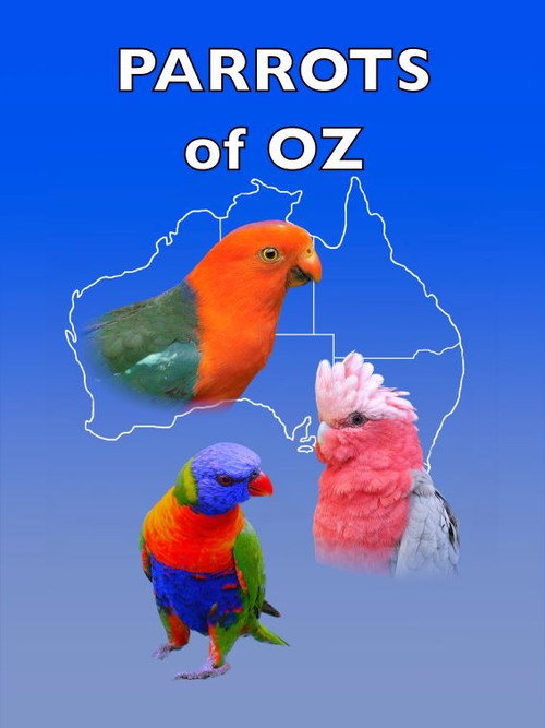Movie poster for Parrots of Oz (2023)