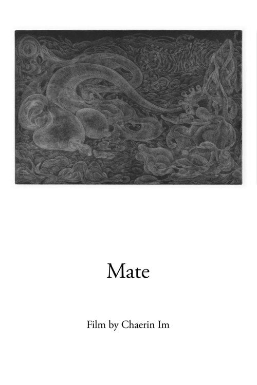 Movie poster for Mate (2019)