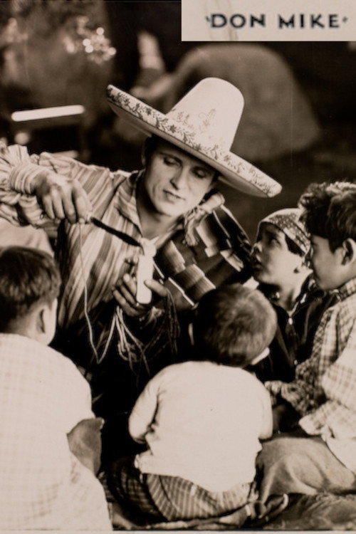 Movie poster for Don Mike (1927)