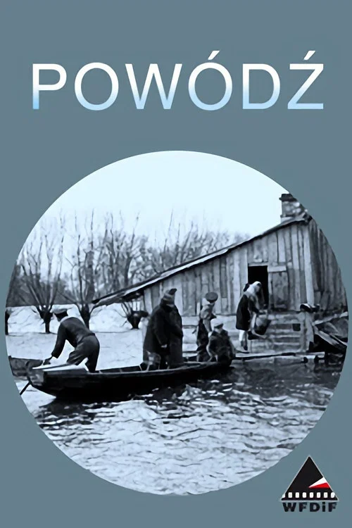 Movie poster for Storm in Poland (1947)