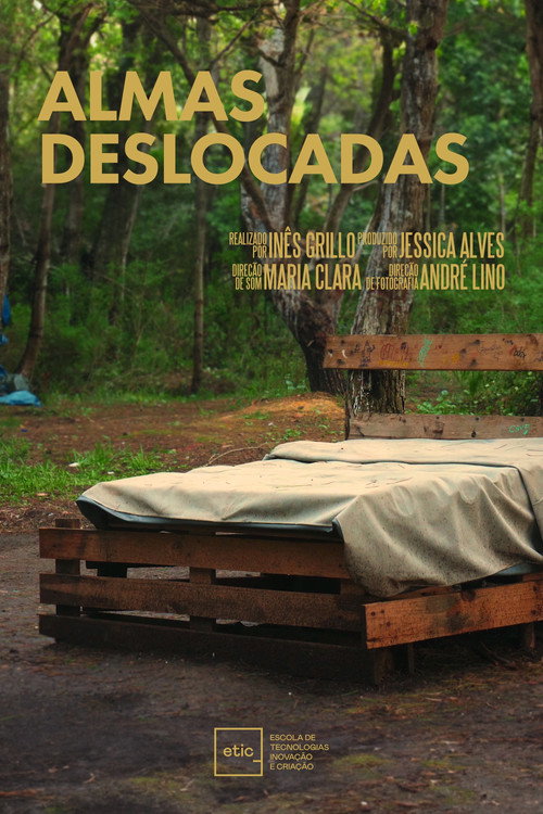 Movie poster for Displaced Souls (2024)