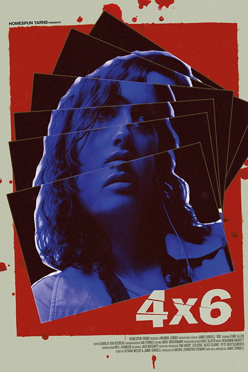 Movie poster for 4x6 (2019)