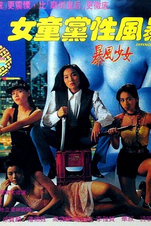 Movie poster for Offence Storm (1993)