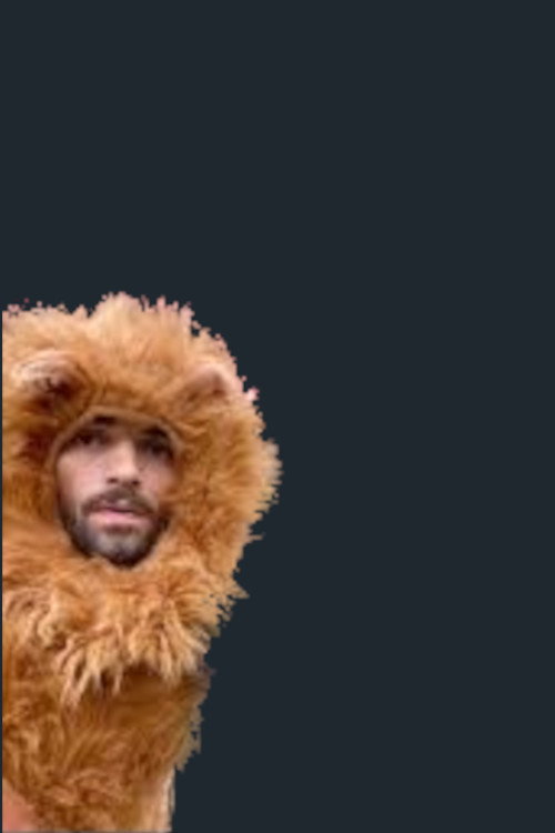 Movie poster for Mountain Lion: Healing Film of St. Francis (2024)