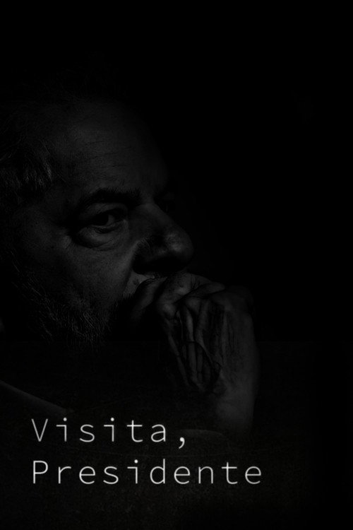 Movie poster for Visita, Presidente (2022)