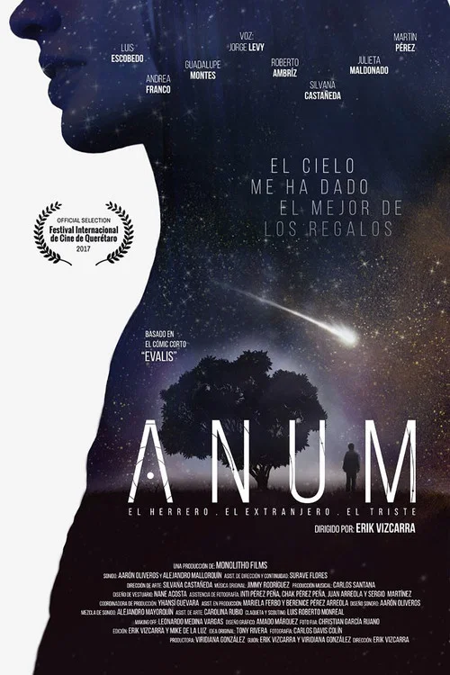 Movie poster for Anum (2017)