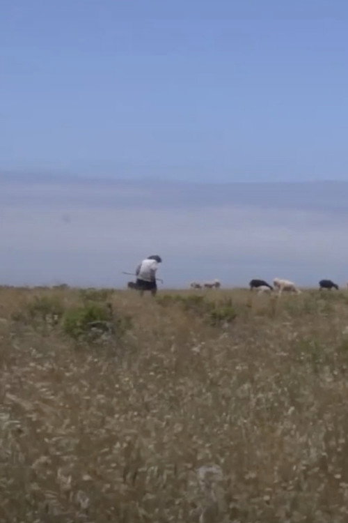 Movie poster for The Passage (2014)