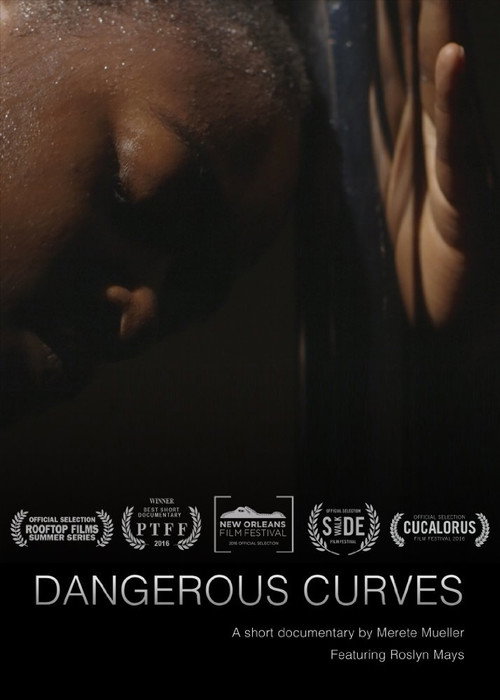 Movie poster for Dangerous Curves (2016)