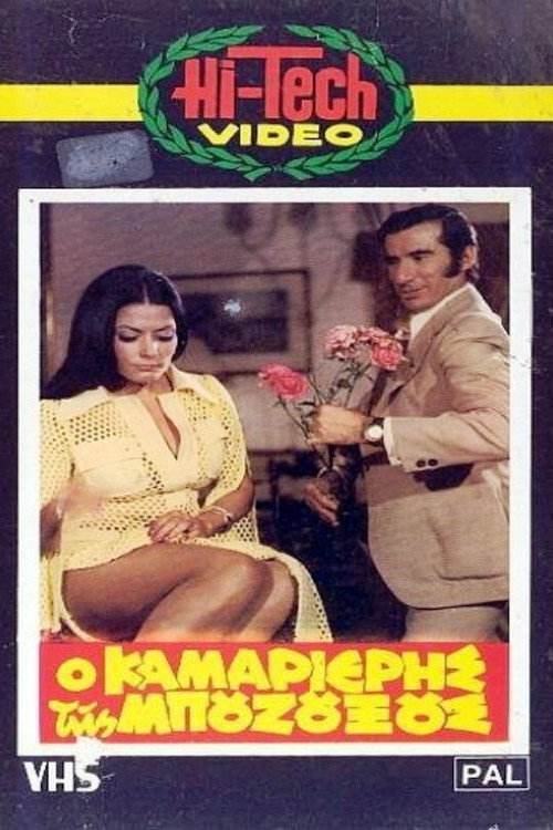 Movie poster for Ο καμαριέρης της μπουζουξούς (1971)