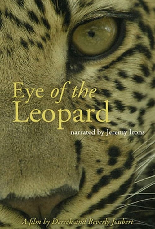 Movie poster for Eye of the Leopard: Revealed (2022)