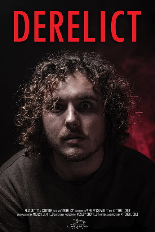 Movie poster for Derelict (2022)