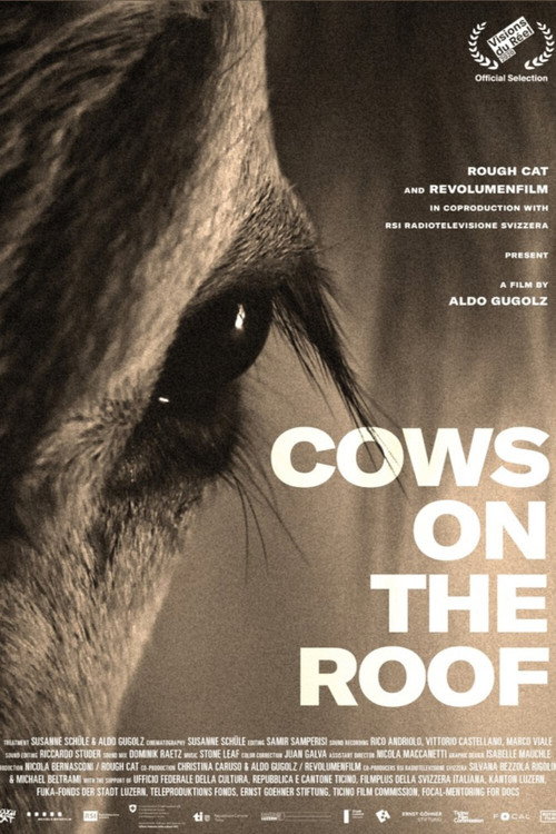 Movie poster for Cows on the Roof (2020)