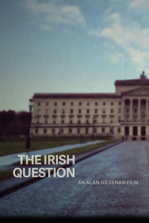 Movie poster for The Irish Question (2024)