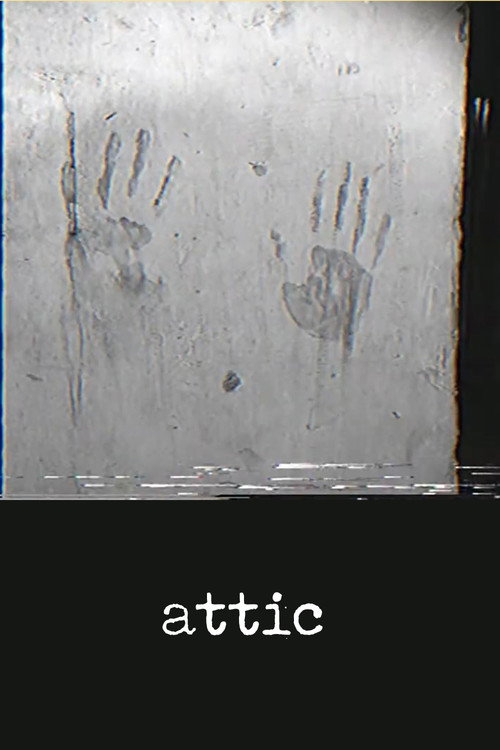 Movie poster for attic (2015)